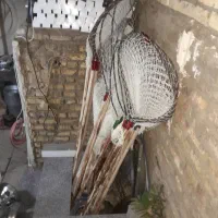 ابدون|لوازم جانبی حیوانات|مشهد, رباط طرق|دیوار