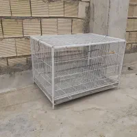 قفس|لوازم جانبی حیوانات|اصفهان, اشکاوند|دیوار