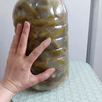 خیار شور خانگی ،سوپر ویژه با گل خیار .خیار انگشتی