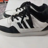 کفش شماره 43|کیف، کفش، کمربند|سرپل ذهاب, |دیوار