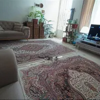 اجاره خانه ویلایی ۶۰ متری ۱ خوابه در سلطان آباد|اجارهٔ خانه و ویلا|شیراز, سلطان آباد|دیوار