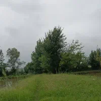 فروش زمین کشاورزی