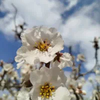 نیازمند یک خانم برای کار پاره وقت در آش فروشی