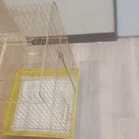 قفس پرنده