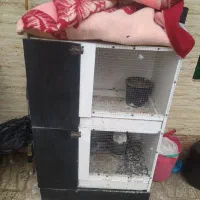 قفس|لوازم جانبی حیوانات|طبس, |دیوار