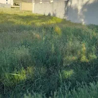 باسلام‌زمین‌فروشی‌درارومیه‌‌منطقه‌سروروستای‌گنگچین|فروش زمین و ملک کلنگی|صومای برادوست, |دیوار