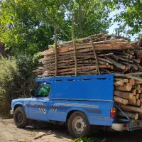 خریدار چوب بالاترین قیمت