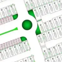 فروش زمین پردیس