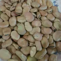 باقلا درجه یک اعلاء دانه درشت