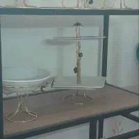 جذب نیرو خانم وآقا