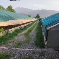 گلخانه ویلا