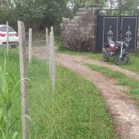 زمین ۱۵۰  متری طلا