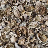 خرید پوست گردو|خدمات پیشه و مهارت|آذرشهر, |دیوار