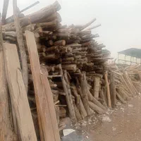 خرید چوب باغی سقفی به صورت|خدمات باغبانی و درختکاری|مشهد, توس (بلوار توس)|دیوار