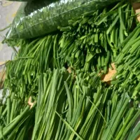 محصولات ارگانیک محمدی