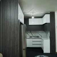 مجری انواع کابینت و کمد دیواری|خدمات پیشه و مهارت|لنگرود, |دیوار