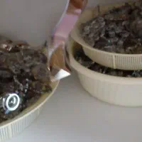 کریستال لوستر|لوستر و چراغ آویز|اردبیل, |دیوار