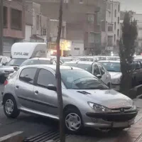 ۲۰۶ترتمیز