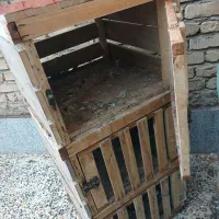 جوفتگاه کبوتر