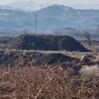 کود مرغ گوشتی