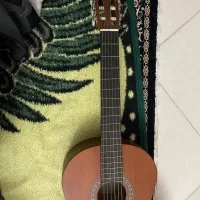 گیتار پارسی مدل m3