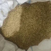 شلتوک(چلتوک) درجه ۱ کامفیروزی