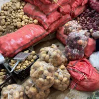 نیرو کار خانم جهت بسته بندی صیفی جات