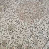 یک جفت فرش۱۲متری درحدنو