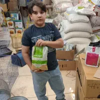 فروش انواع پرنده|پرنده|گلپایگان, |دیوار