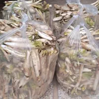 کنکر پاک شده کیلوی ۱۲۰