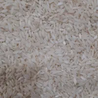 فروش برنج چمپای میداوود|خوردنی و آشامیدنی|باغ ملک, |دیوار