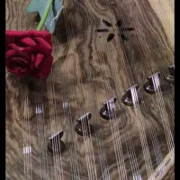 آموزش سنتور