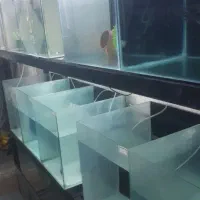 فروش اکواریوم