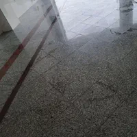 کف سابی|خدمات نظافت|بوشهر, |دیوار