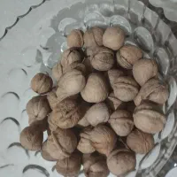 گردو با کیفیت پوست کاغذی تویسرکان|خوردنی و آشامیدنی|رباطکریم, رباطکریم|دیوار