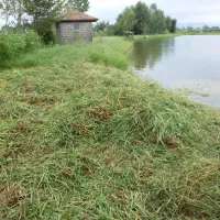 استخر-پرورش-ماهیان-گرمابی
