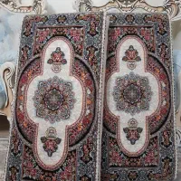 یک جفته پشتی کامل سالم