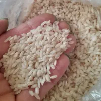 دخل برنج دم سیاه