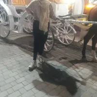 سارافون هس روشم کت هس|لباس|کرمان, |دیوار