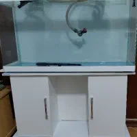 اکواریوم و فیلتر سطلی