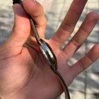 رادو بالبوا اصل|ساعت|تهران, آزادشهر|دیوار