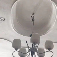 لوسترفلزی درحدنو