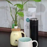 ماگ متنوع جدید و کیوت