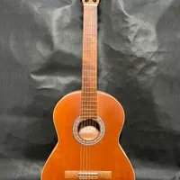 گیتار پاسی