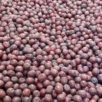 عناب سیوجان از تولید به مصرف|خوردنی و آشامیدنی|خوسف, |دیوار