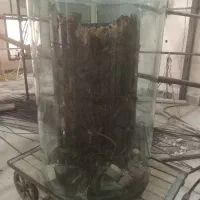 آکواریوم شیشه گرد