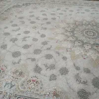 نو باز نشده|فرش|ساوه, |دیوار