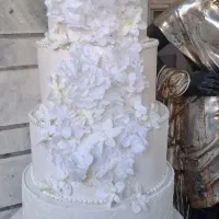 ماکت کیک فوندات کرایه ای