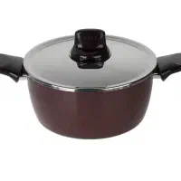 قابلمه تفال مدل  Pleasure  سایز ۲۲