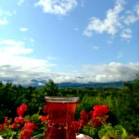 تولید محتوا عکاسی فیلم از محصول خلاق|استخدام هنری و رسانه|لاهیجان, شیشه گران|دیوار